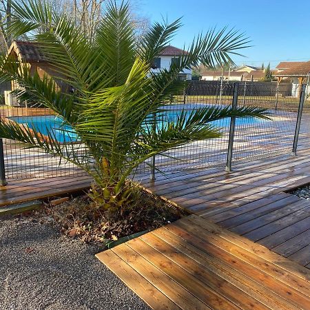 Ensemble De 3 Villas Avec Piscine Chauffee, Esprit Detente Sanguinet Kültér fotó