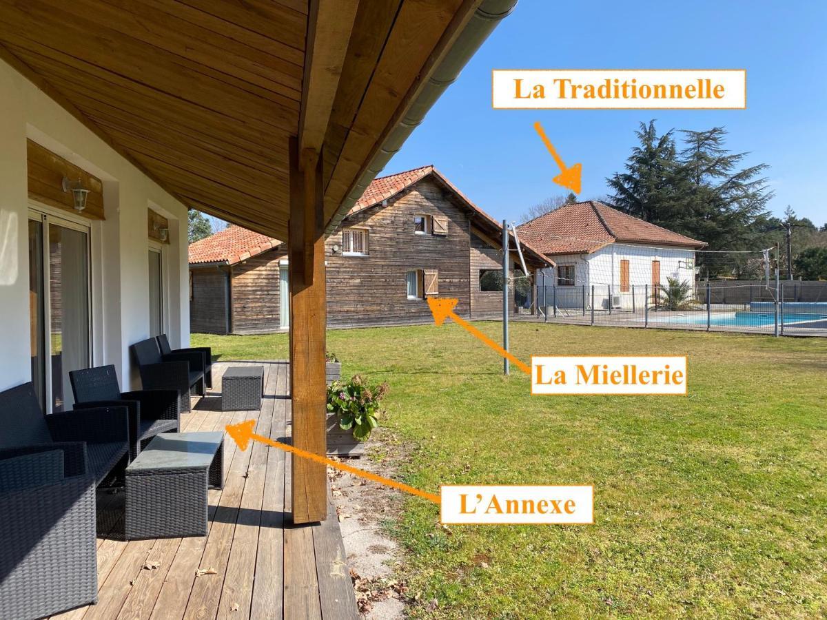 Ensemble De 3 Villas Avec Piscine Chauffee, Esprit Detente Sanguinet Kültér fotó